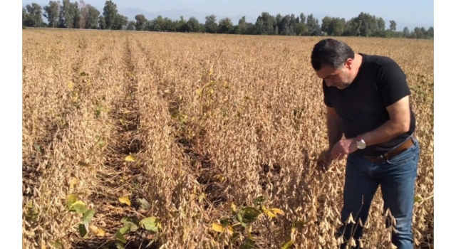 Osmaniye’de 220 Dekarda Soya Üretimi Denetlendi