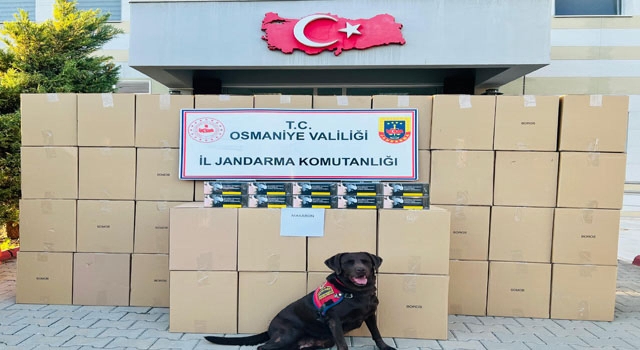Osmaniye’de Kaçak Makaron Operasyonu: 1 Kişi Tutuklandı