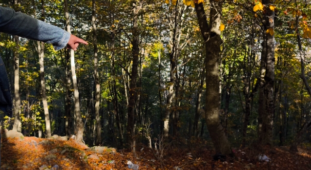 Doğaseverler isyan etti: Dumanlı Yaylası çöplerle doldu