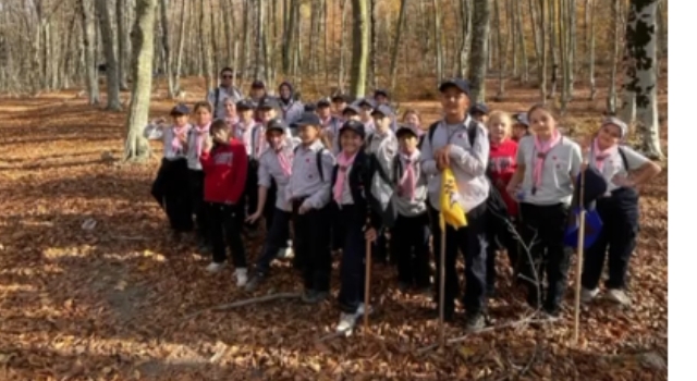 İzciler Doğada Sevgi ve Dayanışma İçin Yürüdü