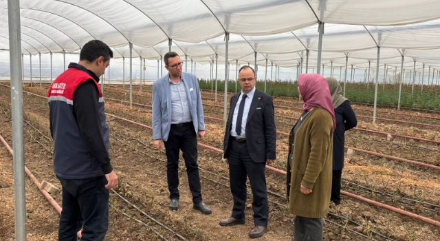 Mersin’den Gelen Gül Fidanları Osmaniye’de Toprakla Buluştu