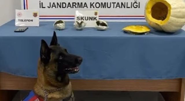 Osmaniye’de Yolcu Otobüsünde Kabak İçinde Uyuşturucu