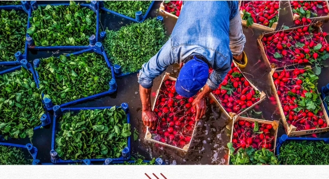 B-Reçete Sistemi Başlıyor: Zirai İlaçta Yeni Dönem