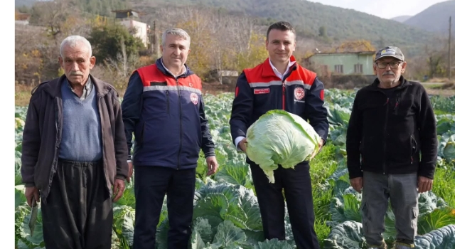 Hasanbeyli’de Ata Tohumuyla Ekilen Lahanaların Hasadı Yapıldı