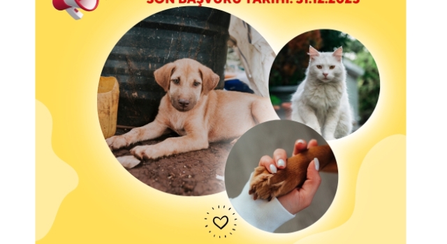 Osmaniye’de Evcil Hayvan Sahiplerine Son Tarih Hatırlatması: 31 Aralık 2025