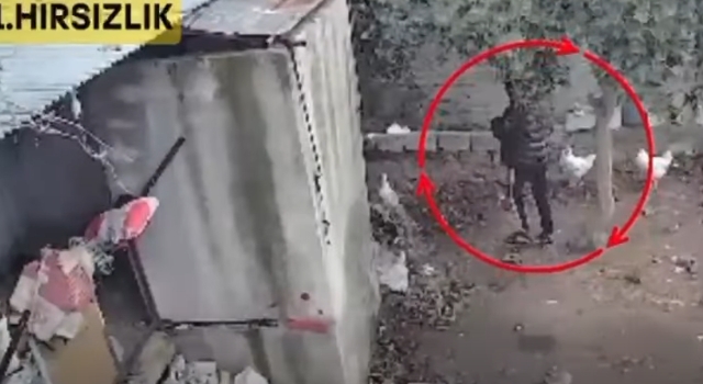 Osmaniye’de Tavuk Hırsızlığına Geçit Yok: Şüpheli Tutuklandı