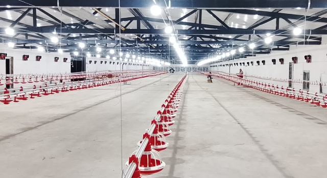 Kadirli’de Yatırımcıya %50 Hibeli Tavuk Desteği