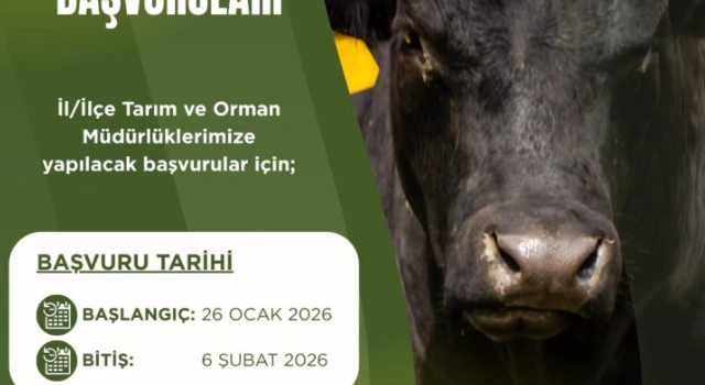 Osmaniye’de Besicilere Kritik Uyarı: İthalat Başvuruları Ertelendi