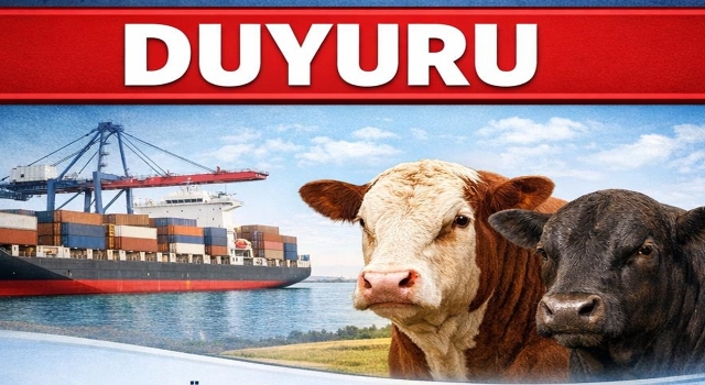 Osmaniye’de Büyükbaş Yetiştiricilerine Kritik Duyuru