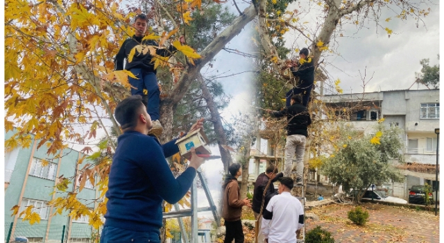 Toprakkale Ülkü Ocakları’ndan Örnek Davranış: Minik Dostlara Sıcak Yuva