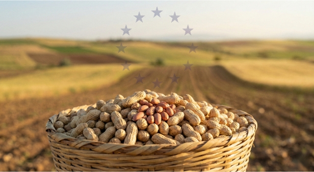 Yer Fıstığıyla Zirveye Çıkan Osmaniye’nin Coğrafi İşaret Yolculuğu