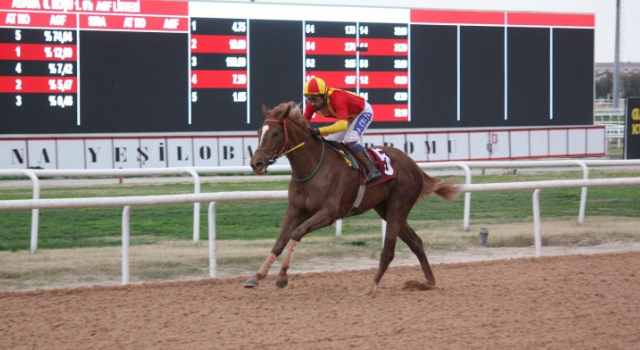 Adana’da Osmaniye Koşusu Heyecanı