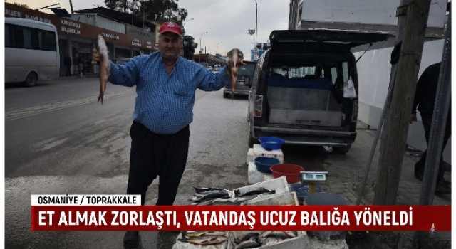 Et Almak Zorlaştı, Vatandaş Ucuz Balığa Yöneldi: 100 TL