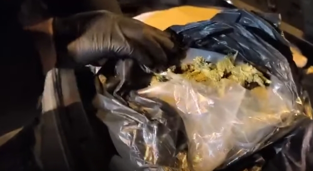 Osmaniye’de Otomobilin Bagajından 36 Kilo Skunk Çıktı