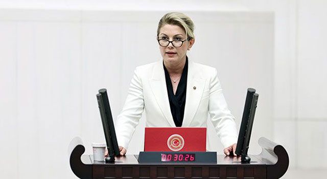 CHP’li Kaya’dan “Organize Kötülük” Vurgusu