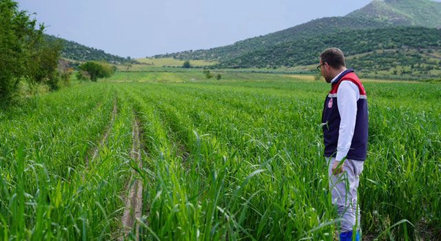 Osmaniye’de Sel Tarım Arazilerine Zarar Verdi