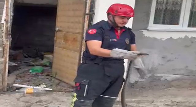 Osmaniye’de Yılan İhbarına İtfaiyeden Hızlı Müdahale