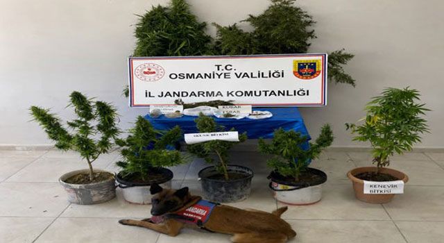 Osmaniye'de Jandarmadan Bir Haftada 116 Asayiş Olayına Müdahale