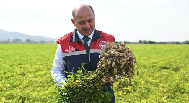 Osmaniye Fıstığı Katma Değer Kazanıyor