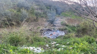 Hatay’da ormanlık alanın yakınında ateş yakan kişiye para cezası verildi