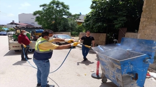 Samandağ’da larva ve uçkuna karşı ilaçlama yapıldı
