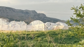 Burdur’da etkili olan şiddetli rüzgarda seralar zarar gördü