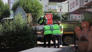 Meslek lisesi öğrencileri, yeşil alan ve parklardaki depremin izlerini siliyor