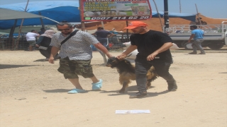 Mersin’de hayvan pazarlarında bayram yoğunluğu yaşanıyor