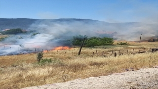 Antalya’da çıkan anız yangınında meyve ağaçları zarar gördü