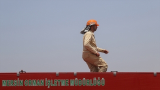 Mersin’de orman yangınlarına güçlü araç filosu ve yetkin ekiplerle müdahale edilecek