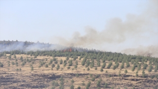 Kahramanmaraş’ta çıkan orman yangınına müdahale ediliyor