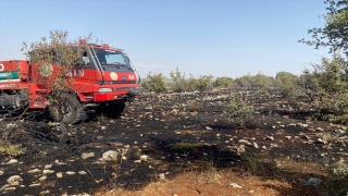 Kahramanmaraş’ta ormanlık alanda çıkan yangın söndürüldü