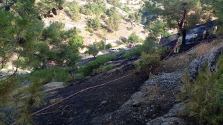 Kahramanmaraş’ta ormanlık alanda çıkan yangın söndürüldü