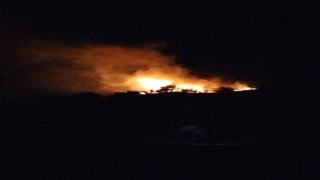 Hatay’da ormanlık alanda çıkan yangın söndürüldü