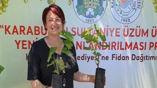 Karaburun’da bağcılık yeniden canlanıyor