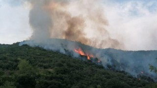 Bahçe’deki orman yangını kontrol altına alındı