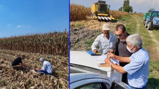 Kadirli’de mısır hasadı önemli ölçüde tamamlandı