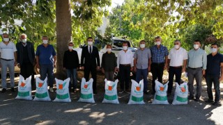 Sumbas’ta Çiftçilere fiğ tohumu dağıtıldı