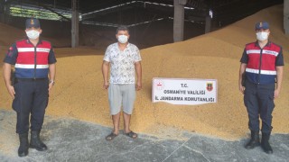 Çaldığı 52 ton mısırı satmaya çalışırken yakalandı