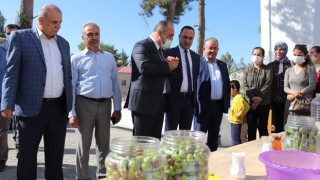 Çiftçilere zeytin salamurası ve turşu yapımı eğitimi