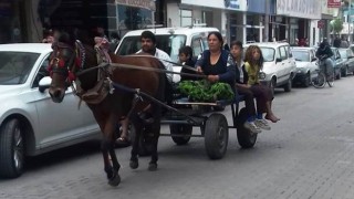 Akaryakıt zamları, at arabalarını trafiğe çıkardı