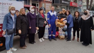 Atık pet şişeler, sokak canlarına şifa oluyor