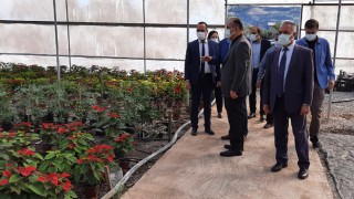 Kaymakam İlhan çiçek serasında incelemelerde bulundu