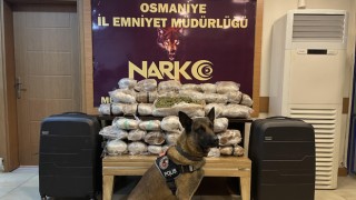 Osmaniye’de 31 kilo 50 gram Skunk maddesi yakalandı