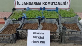 Plastik kasalarda uyuşturucu yakalandı