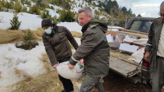 Osmaniye’de doğaya 1 ton 340 kilo yem bırakıldı