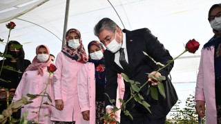 Vali Yılmaz, gül serasında incelemelerde bulundu