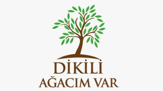 Yanan ormanlarımız Türkiye-Kore dostluğuyla yeniden yeşeriyor