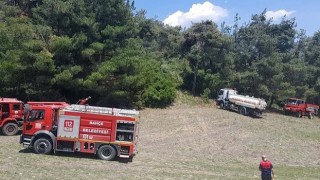 Osmaniye’deki orman yangınında 5 dekar alan zarar gördü