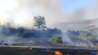 Kadirli’de orman yangını, 2 dekarlık alan zarar gördü